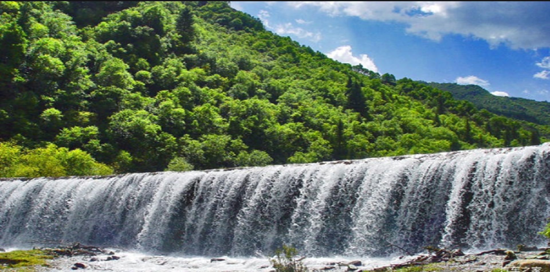 1692945725104603.png image.png